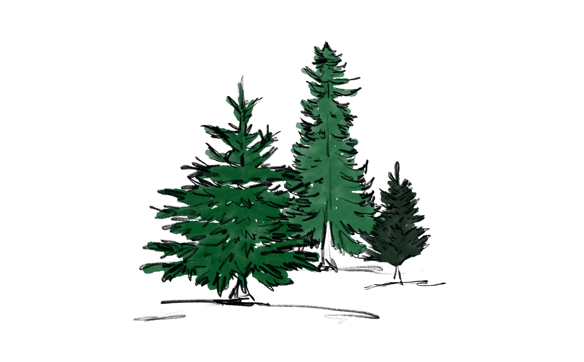 Winter Tree Sketch