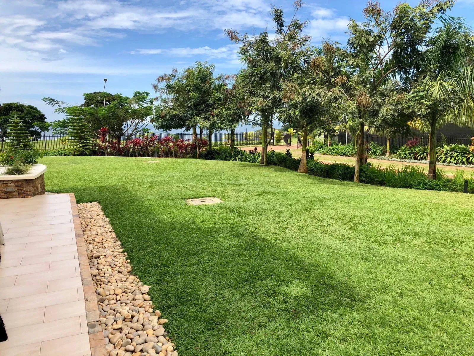 A landscaped green lawn with a stone-bordered patio, surrounded by trees and shrubs under a sunny blue sky.