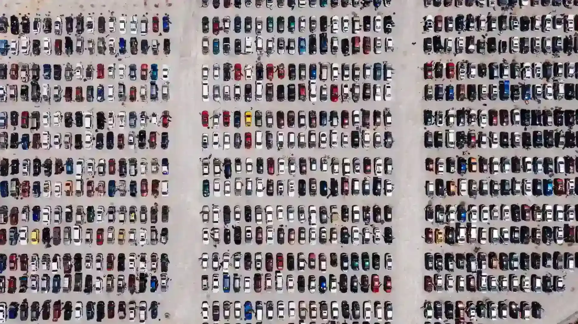 Comparing how 2019 and 2021 vehicle transactions differed using the DVLA anonymised car registrations dataset