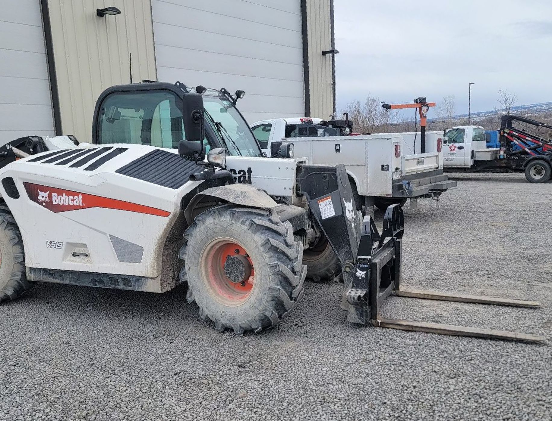 bobcat skidster