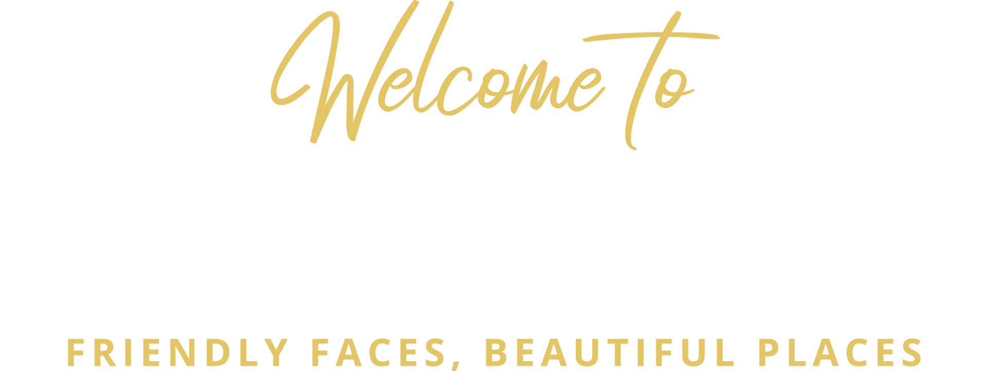 Light Logo