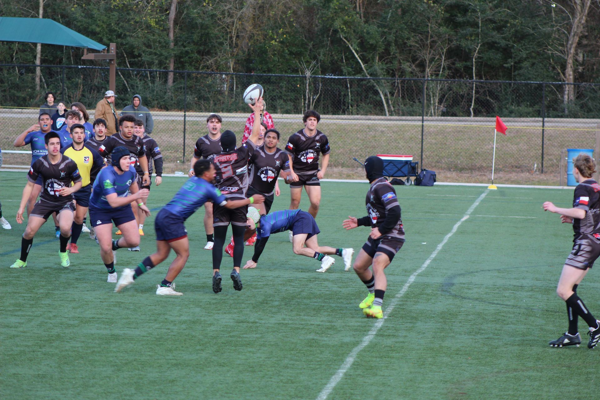 Rugby players on a field. A player jumps for the ball while others watch. Green field, blue and black jerseys.
