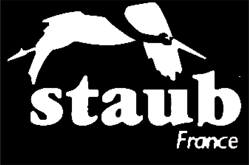 Um logotipo preto e branco para staub frança