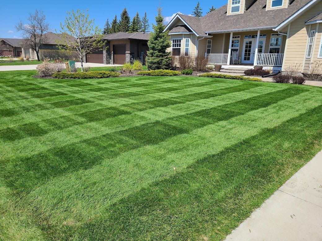 checker patterned mowing service