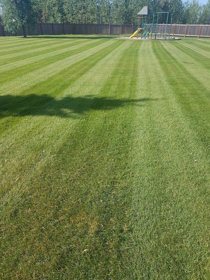 Lawn Mowing