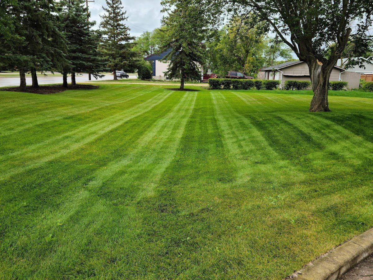 Lawn Care