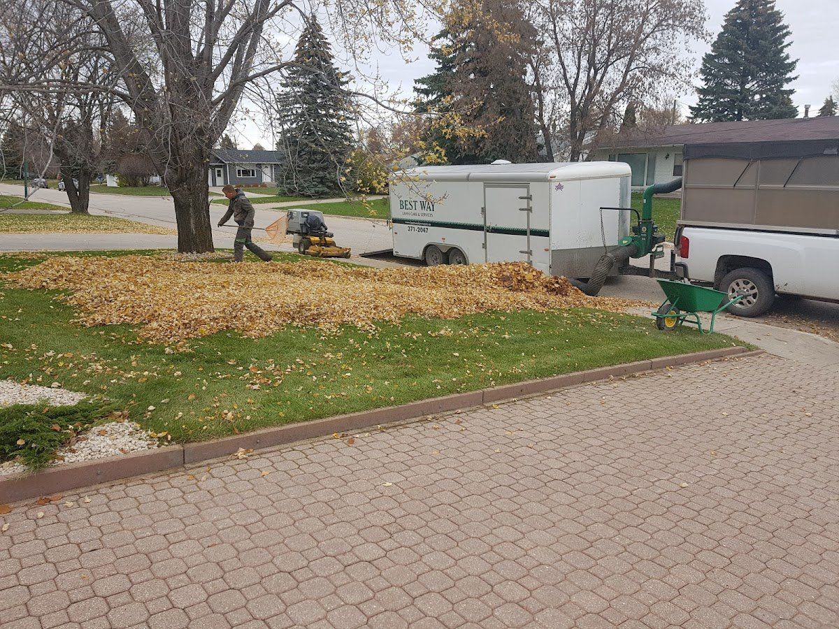 Property Clean up