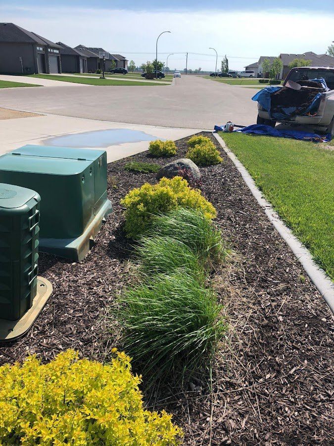 Plant Installation