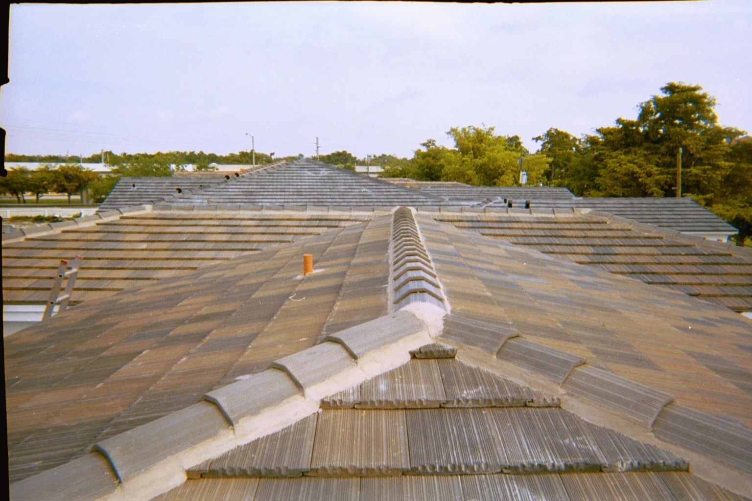 Rooftop with a long central ridge, corrugated metal panels, and trees in the background
