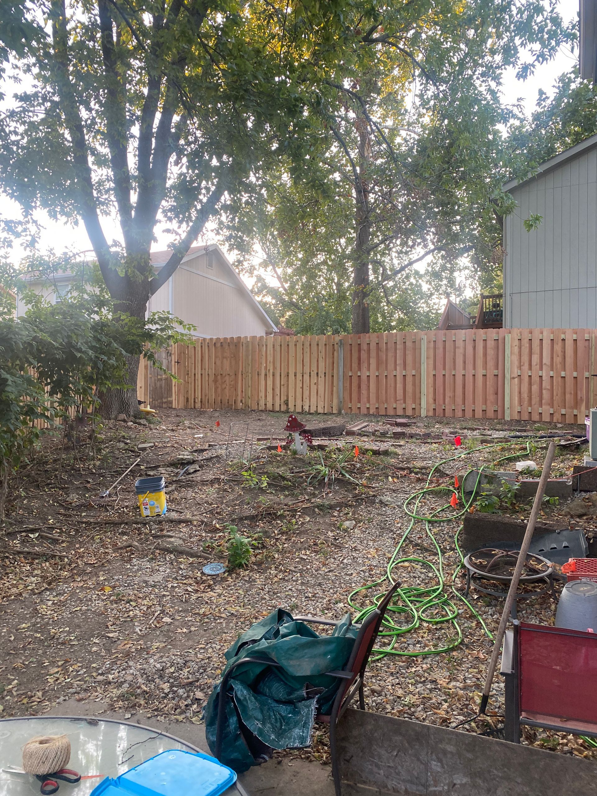 A backyard with a wooden fence and a shed in the background.