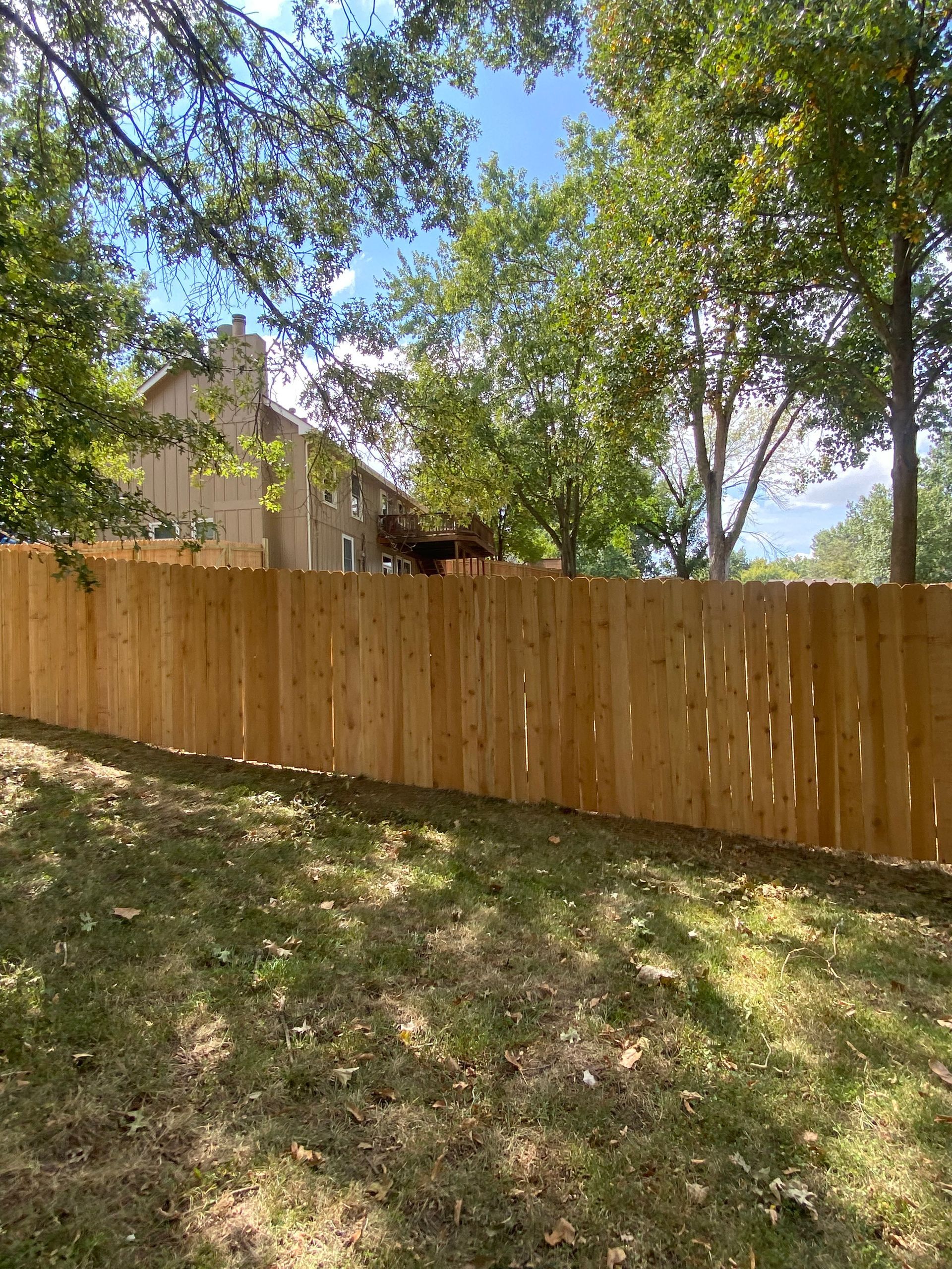 A wooden fence is surrounded by trees and grass in a backyard.