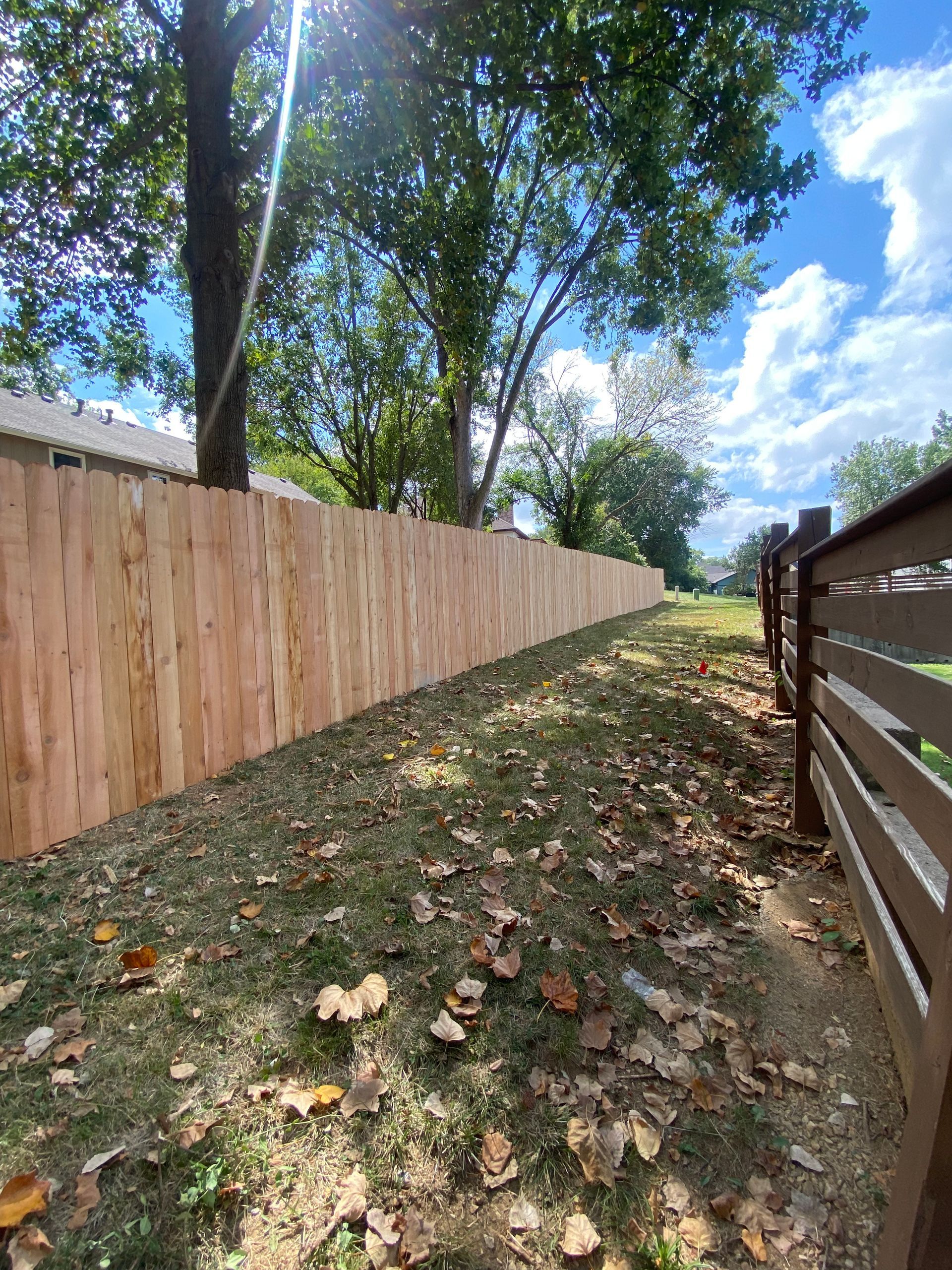 A wooden fence surrounds a grassy area with trees in the background.