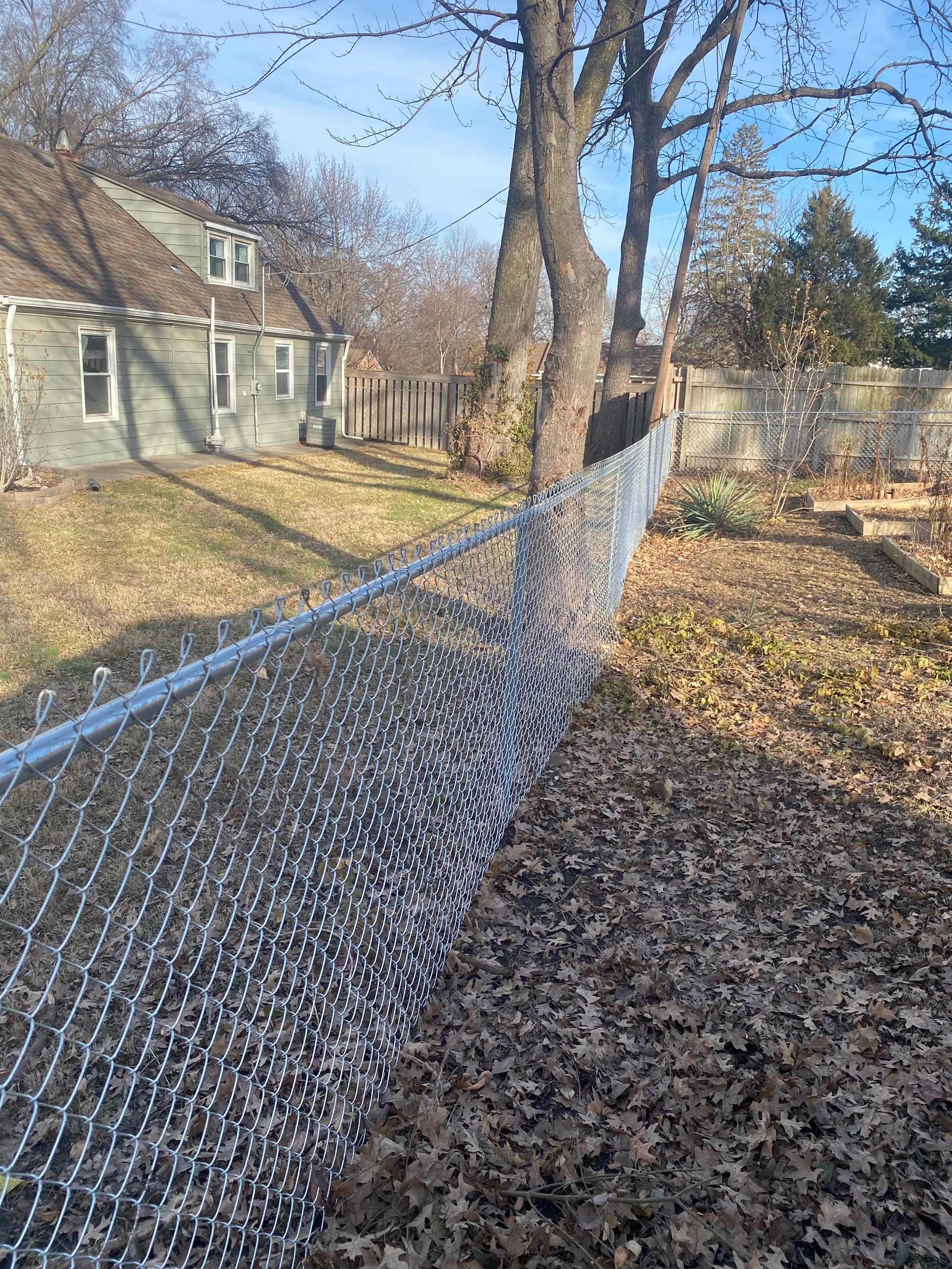 A chain link fence surrounds a yard with a house in the background.