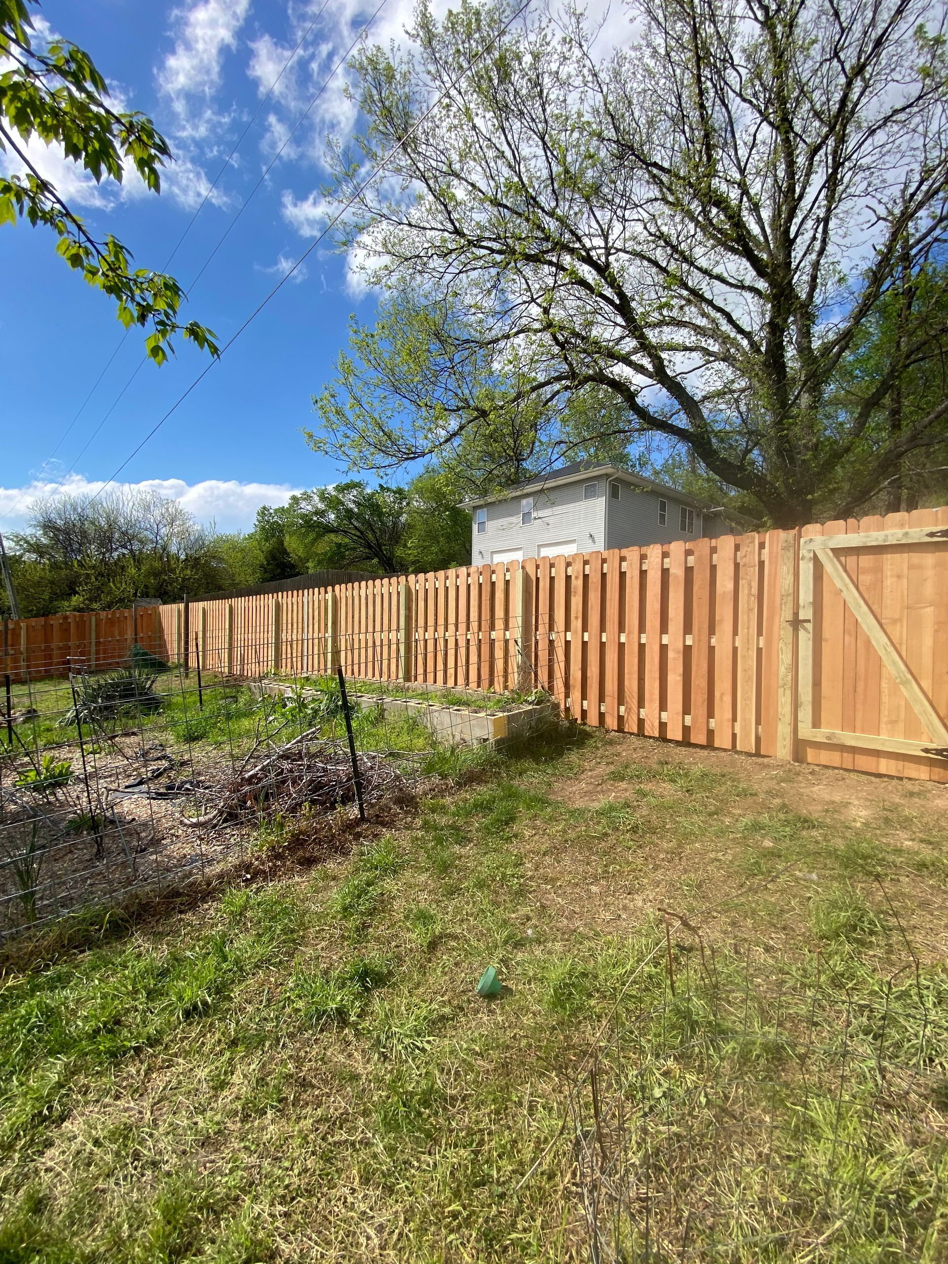 A wooden fence is surrounded by grass and trees in a backyard.