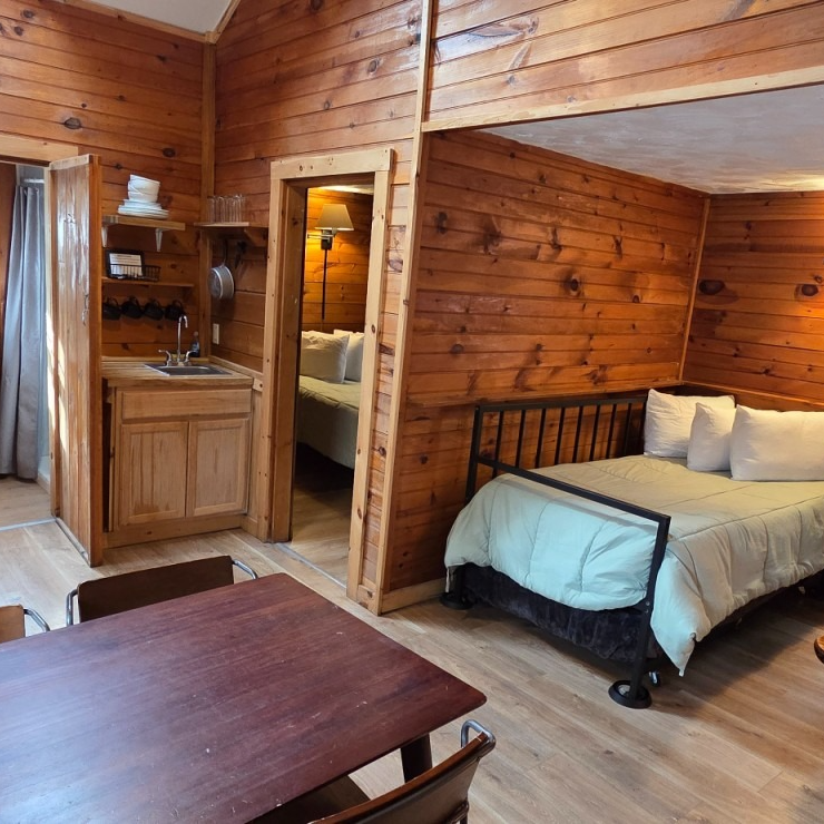 Cozy wood-paneled cabin room with a bed, small sink, mirror, and table