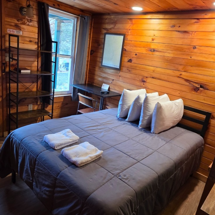 Cozy wood-paneled bedroom with a queen bed, gray comforter, desk, mirror, and window