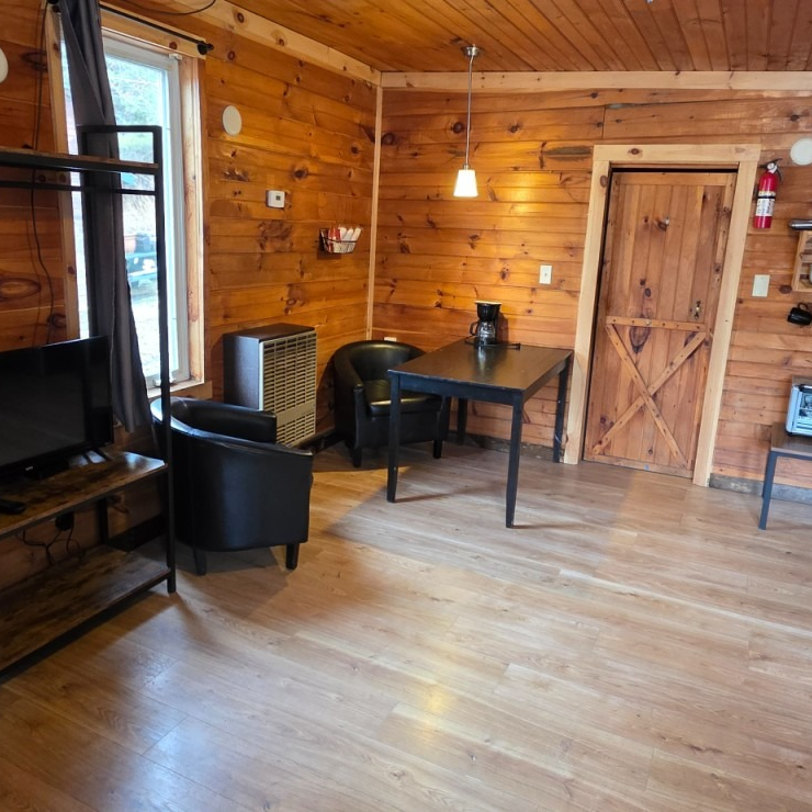 Rustic wood-paneled cabin room with a chair, table, TV, and door on a wooden floor