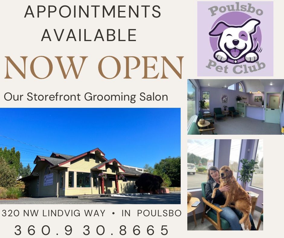 Aloha Pet Mobile Grooming Silverdale Poulsbo Bainbridge