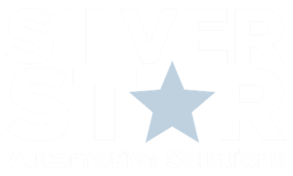Light blue star icon on a white background