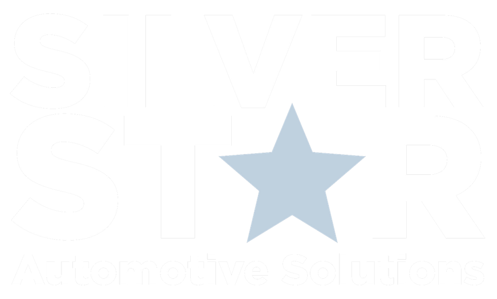 Light blue star icon on a white background