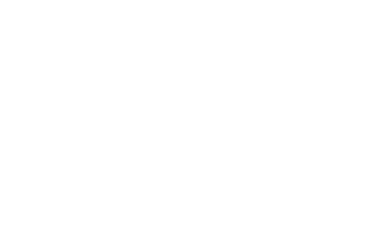 Blank white image with a narrow black bar along the bottom edge