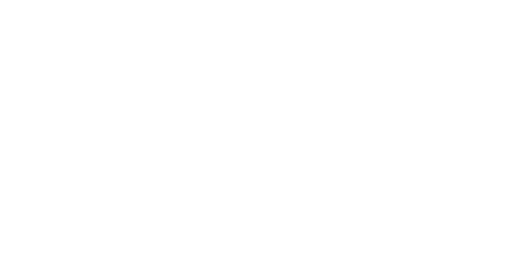 Mostly blank white image with a light gray band along the bottom edge