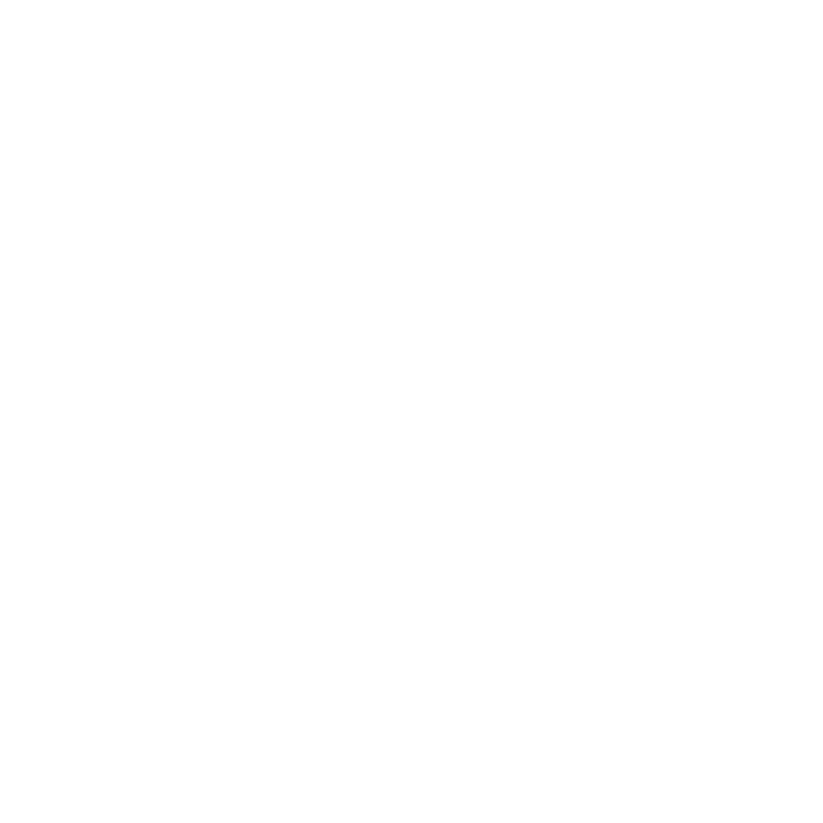 Blank white image with no visible content