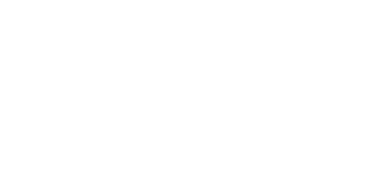 Blank white rectangle with a thin black line near the bottom