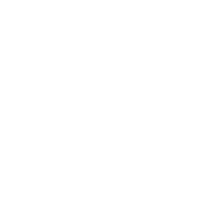 Blank white image with no visible content.