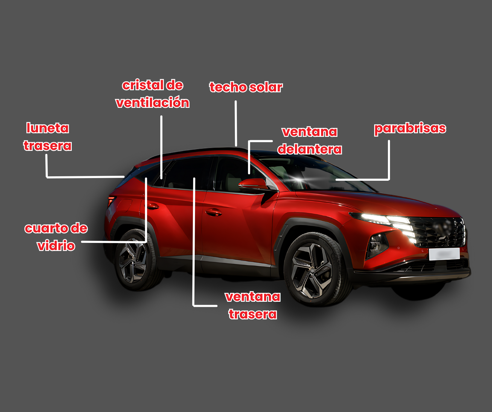 Windshield replacement & auto glass service in Floydada, TX Red SUV with labeled exterior parts on a gray background.