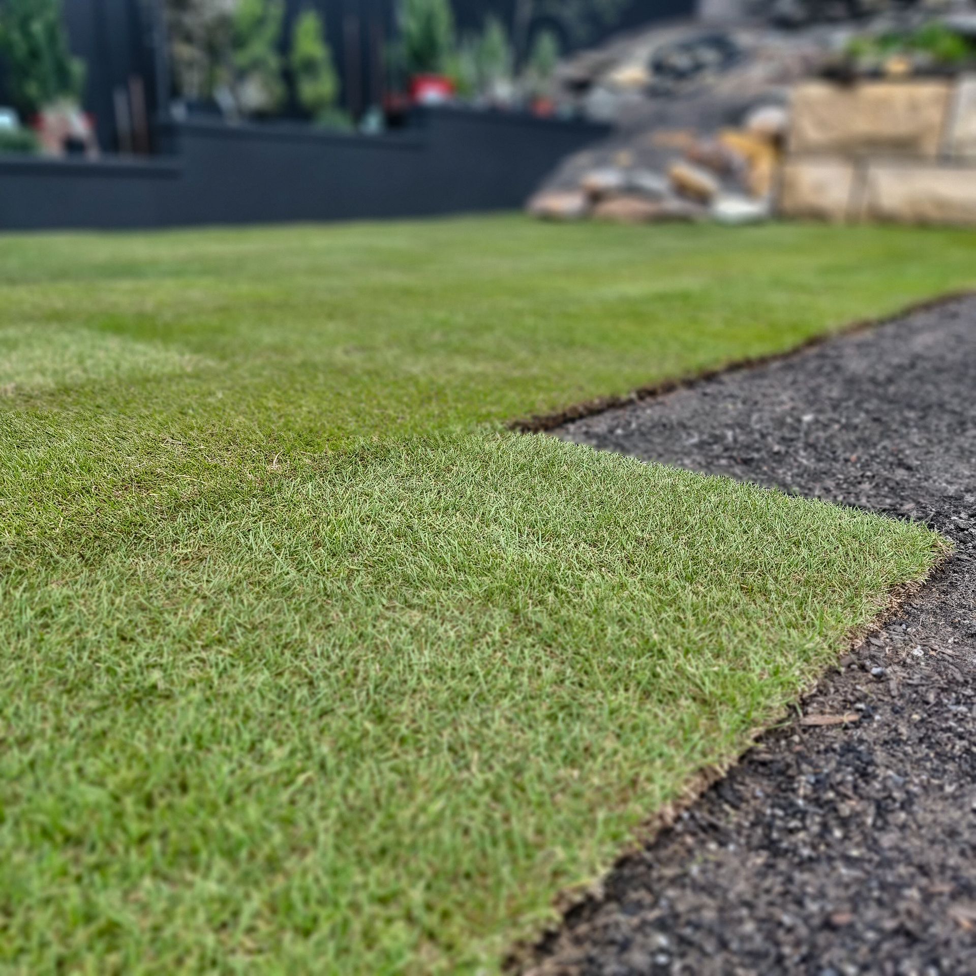 Grass Laying