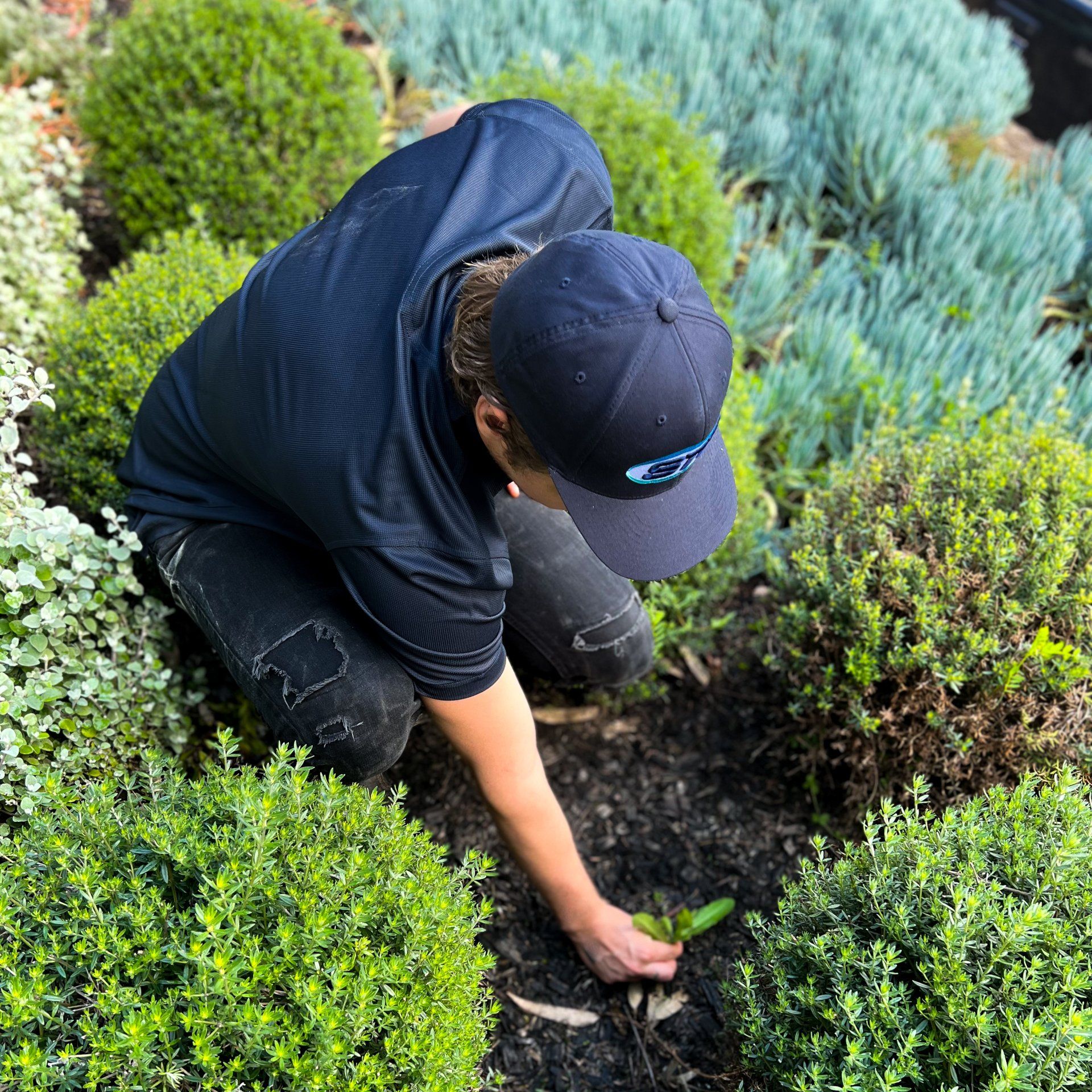 Garden maintain