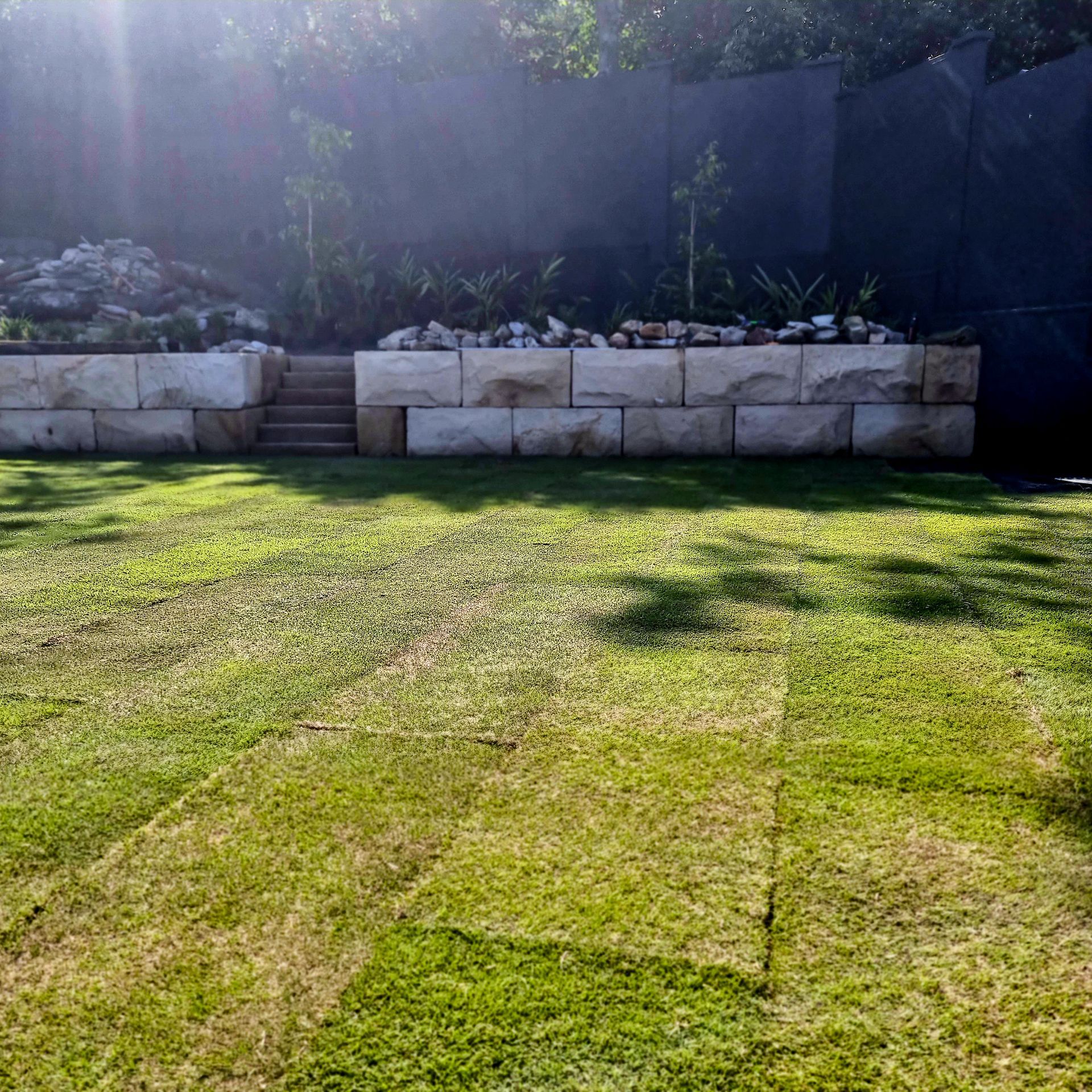 laying grass