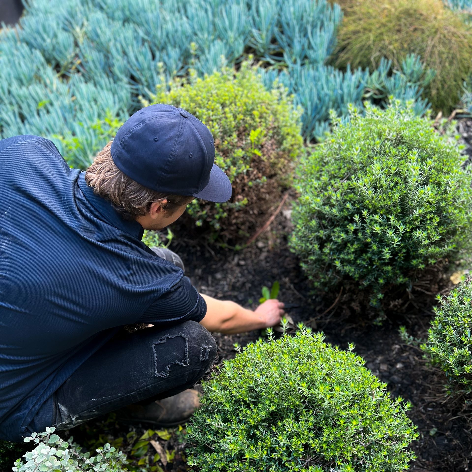 gardening