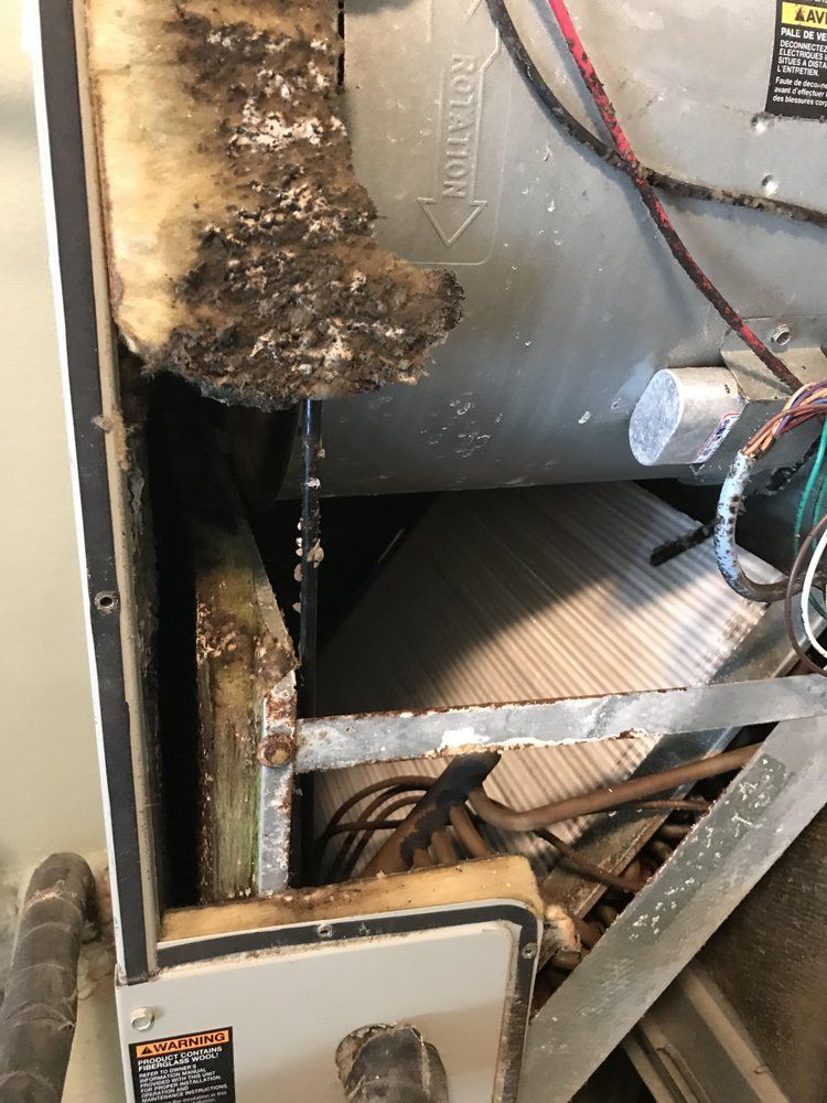 Damaged furnace interior with charred insulation, exposed wiring, and metal components.