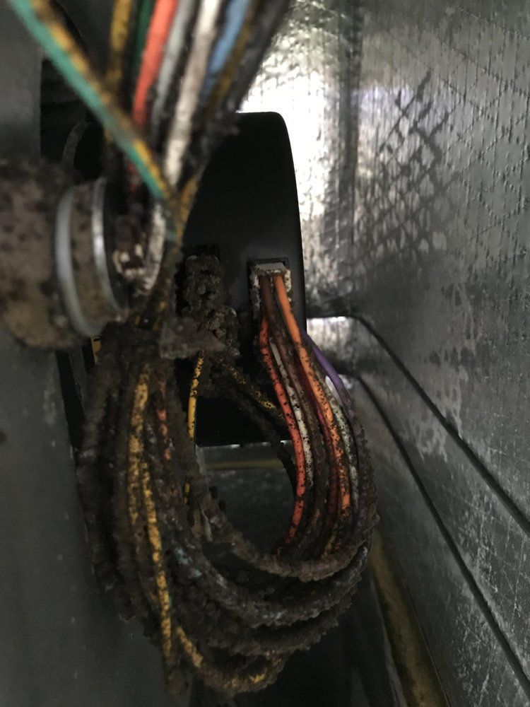 Close-up of tangled, dirty electrical wires inside a metal compartment.