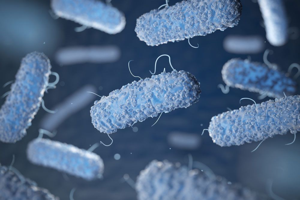 Blue rod-shaped bacteria floating in a dark microscopic scene