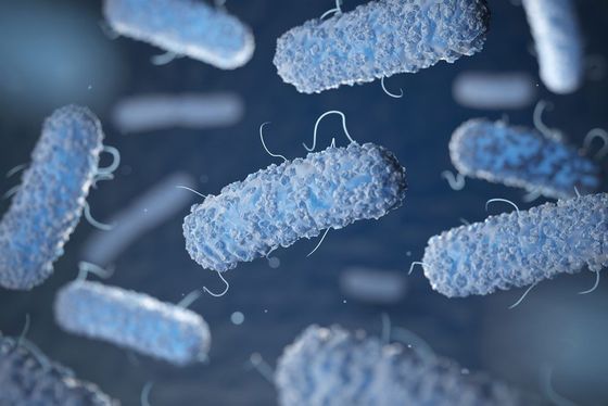 Blue rod-shaped bacteria floating in a dark liquid background