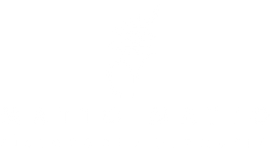 Rettangolo bianco vuoto su sfondo bianco