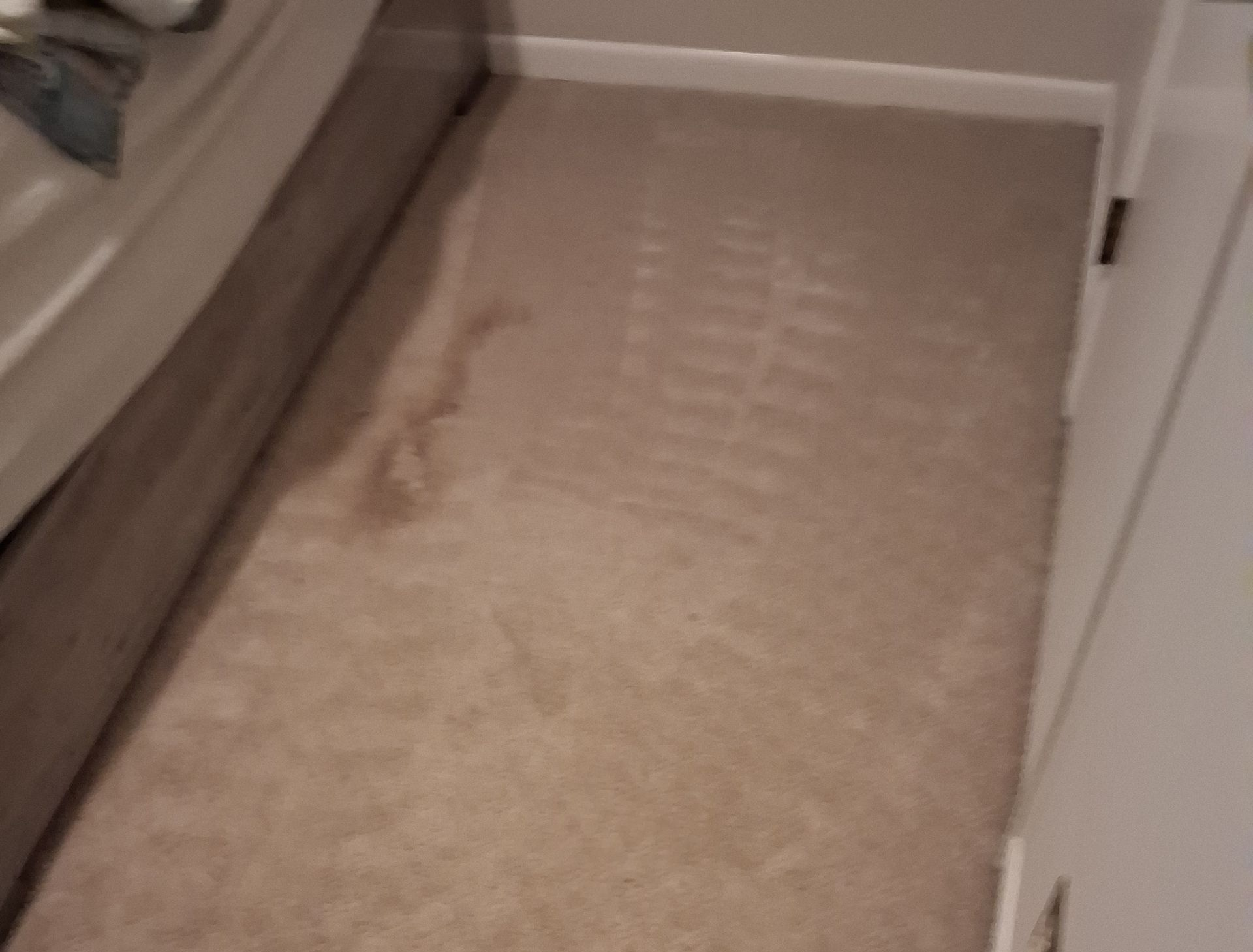 Stained floor