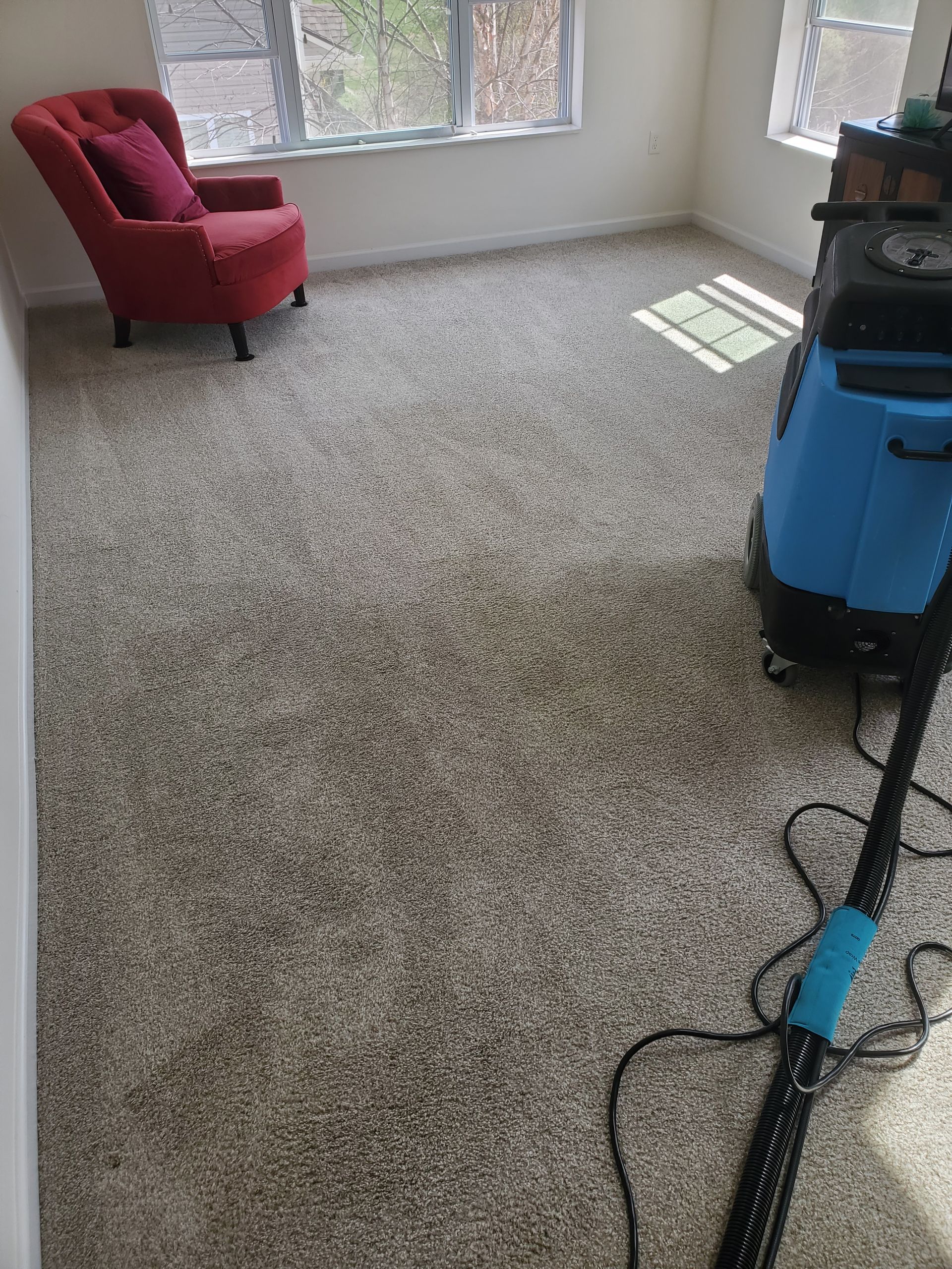 Carpet Cleaning Knoxville, TN