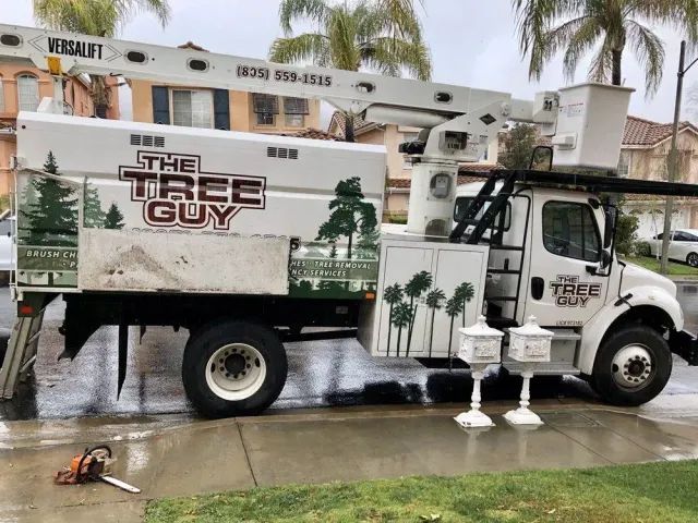 A white truck with a crane attached to it is cutting a tree.