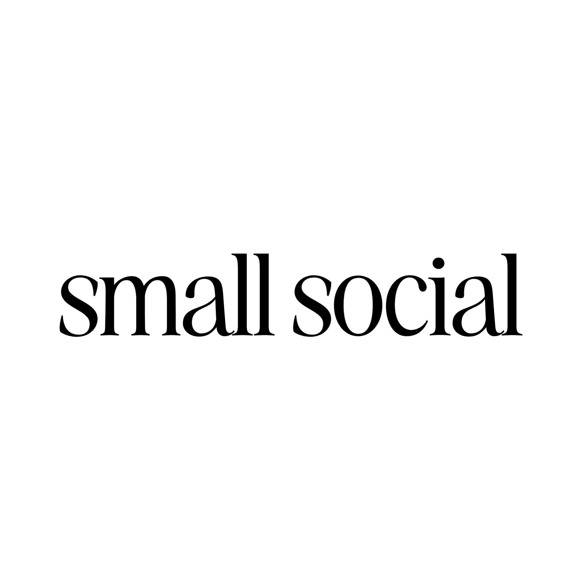 The Small Social Company logo