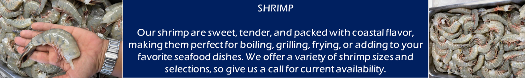 Shrimp text with hands holding a shrimp in the middle of two pictures of shrimp.