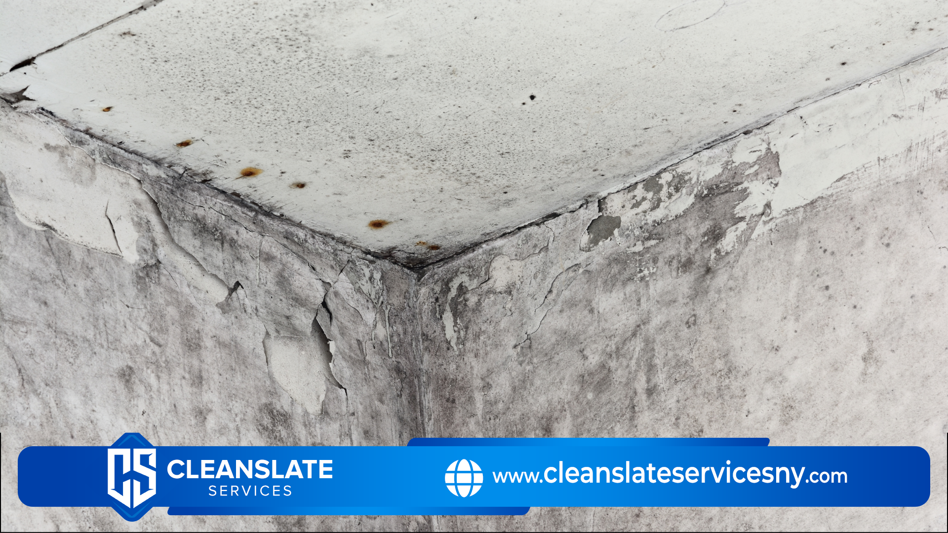 mold in crawl space ceiling