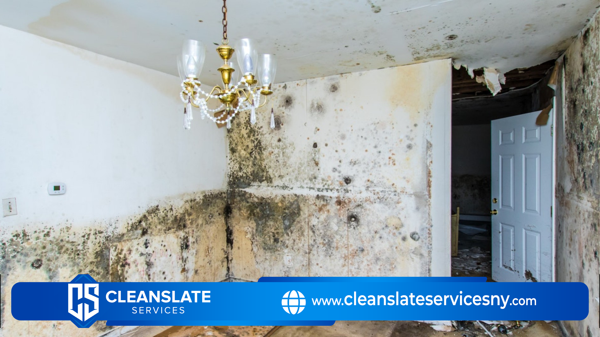 MOLD REMEDIATION