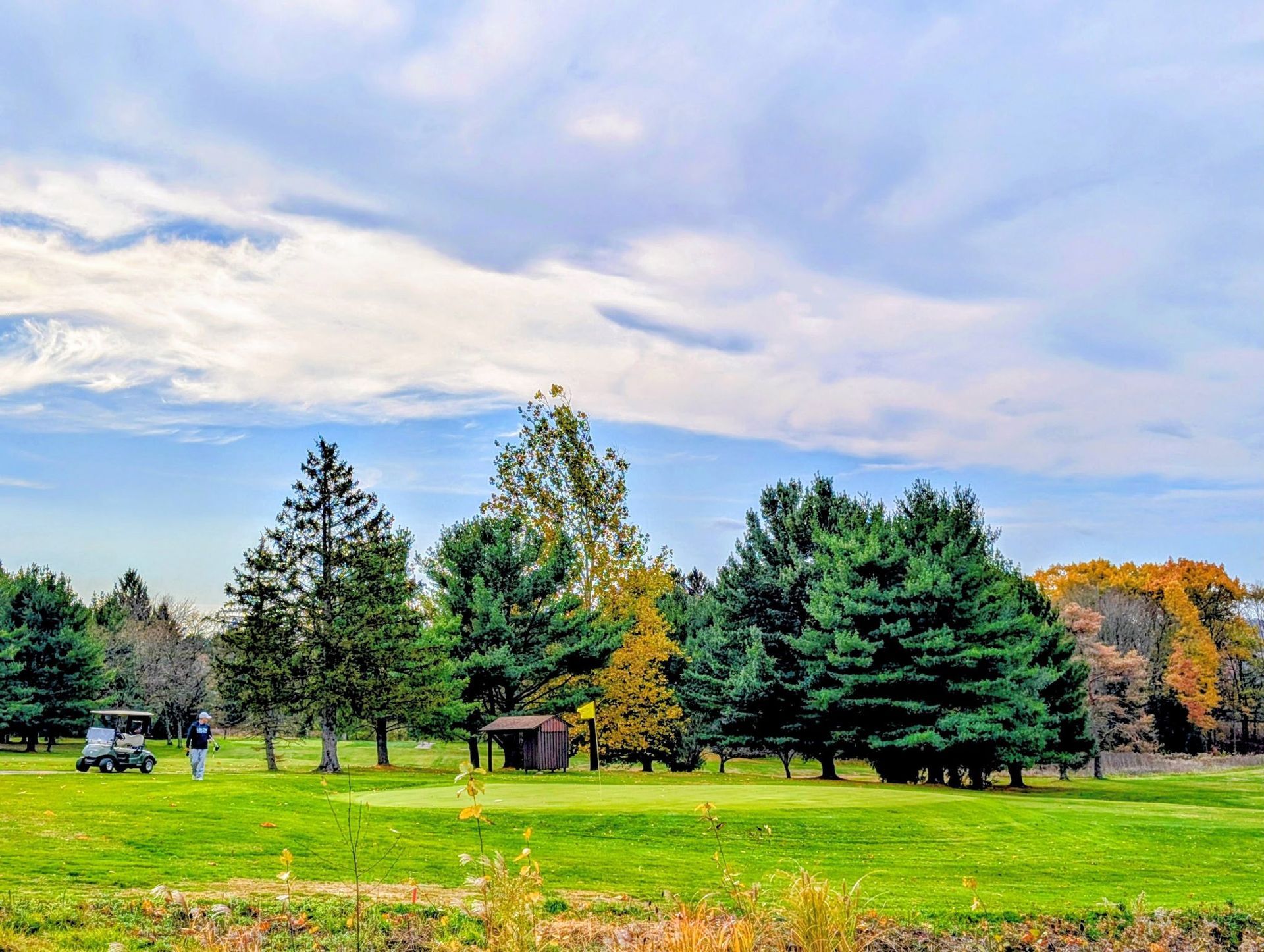 Golf course scene with green grass, trees, cloudy sky, and a golf cart.
