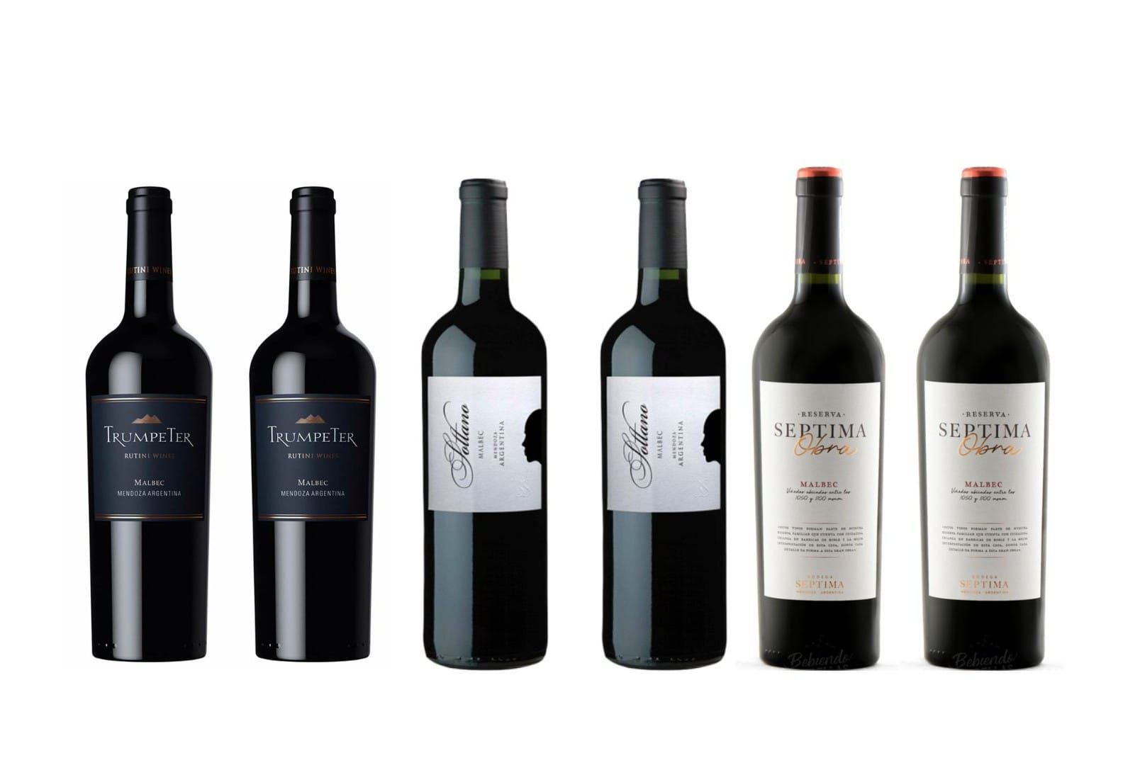Seis botellas de vino tinto alineadas sobre un fondo blanco.