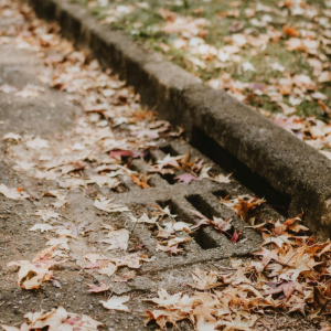 Leaf-covered sidewalk beside a concrete curb, with scattered brown autumn leaves.