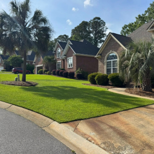 Brick suburban houses with manicured lawns, palm trees, and a sunny driveway street view
